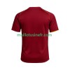 Maillot de Foot Servette FC Domicile 2025-26